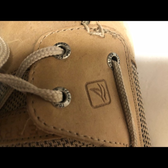 Skerry topsides 8.5 - Picture 8 of 8